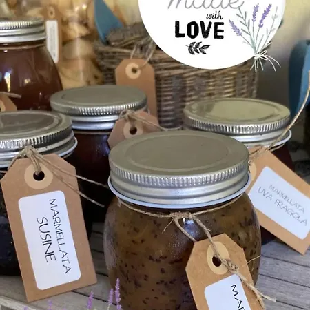 Valle Dei Mulini Marciana (Isola d'Elba)