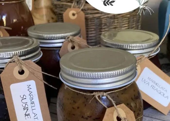 Valle Dei Mulini Marciana (Isola d'Elba)