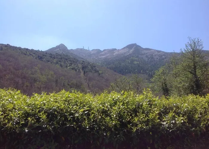 Valle Dei Mulini Alojamento de Acomodação e Pequeno-almoço Marciana (Isola d'Elba)